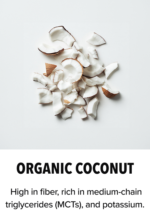 Organic Coconut