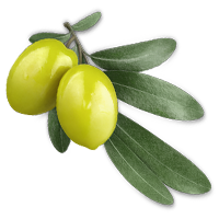 Olive Leaf Extract