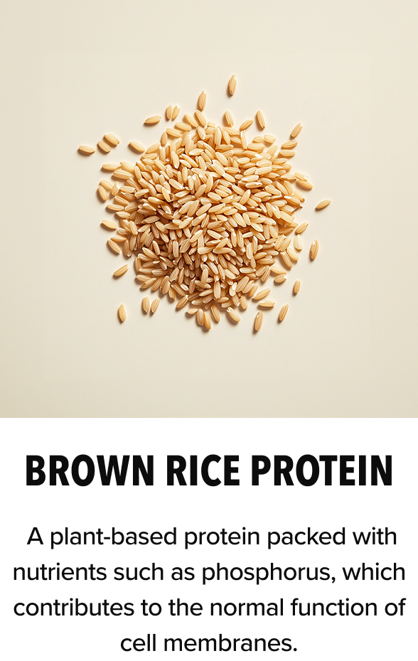 Brown Rice